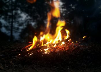Darf man Feuer im Wald machen? (Tipps & welche Strafe?)