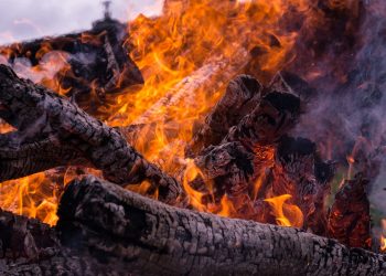 Holzanzünder Vergleich | Grillanzünder aus Holz & Wachs kaufen