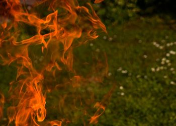 Feuer richtig machen (Anleitung) | Lagerfeuer in Garten anmachen