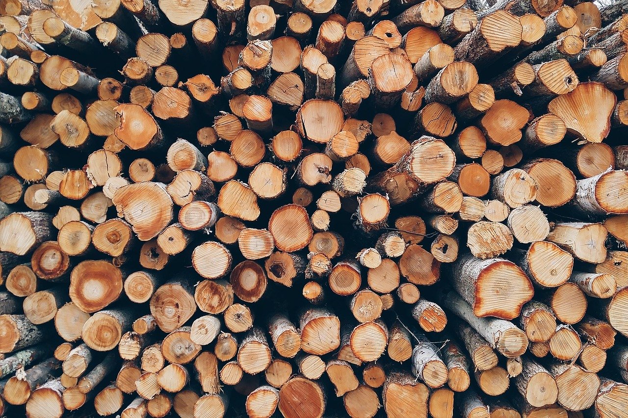 Holz Brennholz Äste