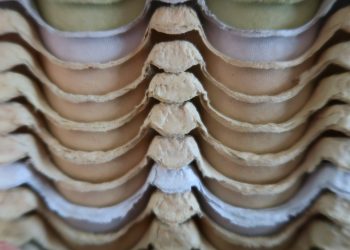 Papierstreifen zum Feueranzünden? | Feueranzünder aus Papier