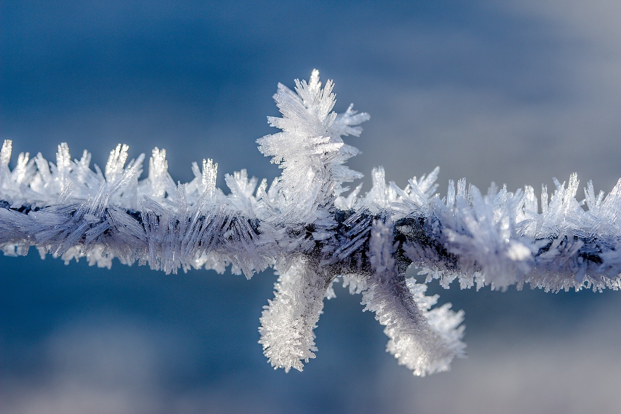Eiskristalle Frost Eis Kälte Schnee