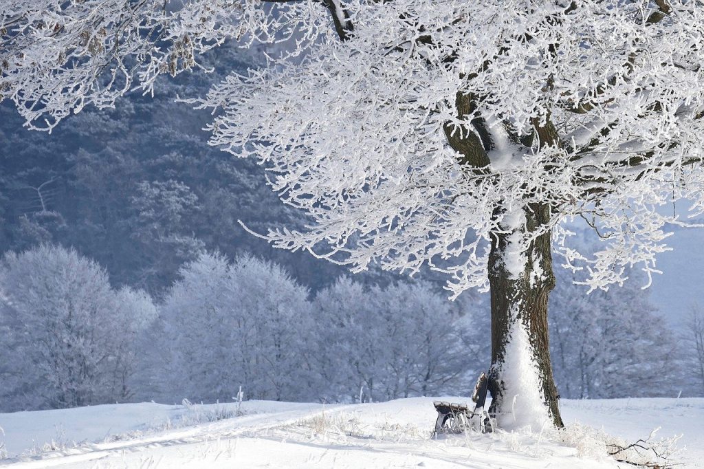 Winter Schnee Eis Kälte Winterlandschaft
