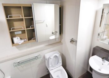 Heizkörper vertikal (Top 3) | Vertikale Heizung – Watt & Typ