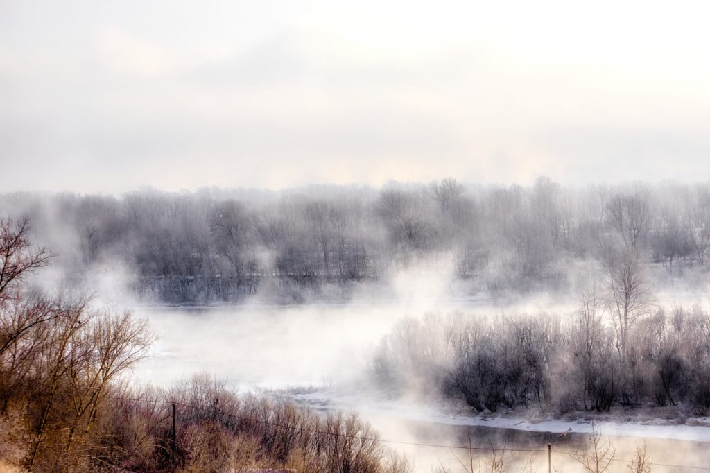 Nebel Frost Winter