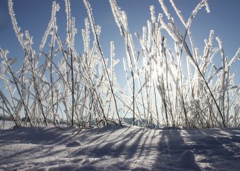 Vorlauftemperatur: Heizung wie hoch einstellen (Anleitung) ?