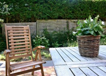 Tischfeuer & Tischfeuerstelle für den Garten kaufen (Top 3)